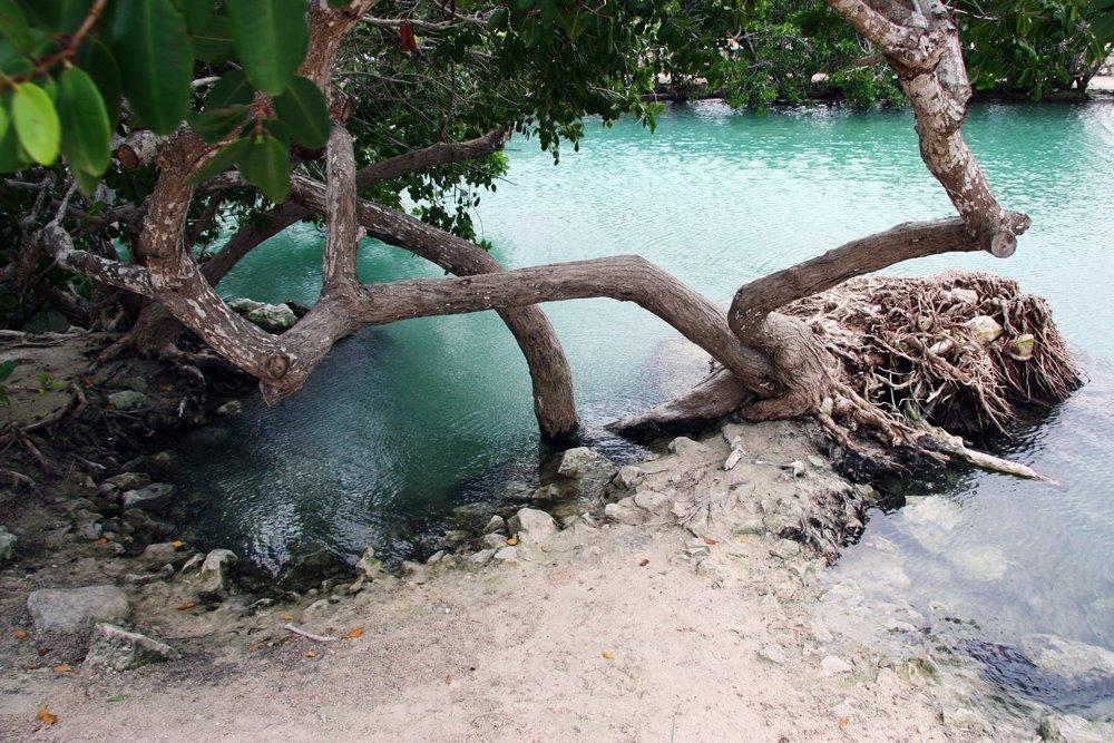 Casa Laguna Lagartos Hotel Río Lagartos Esterno foto