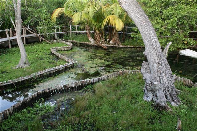 Casa Laguna Lagartos Hotel Río Lagartos Esterno foto
